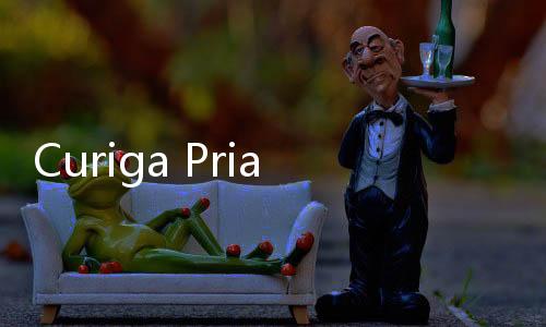 Curiga Pria Terbang 200 Kali, Skandal Pencurian di Pesawat Terbongkar