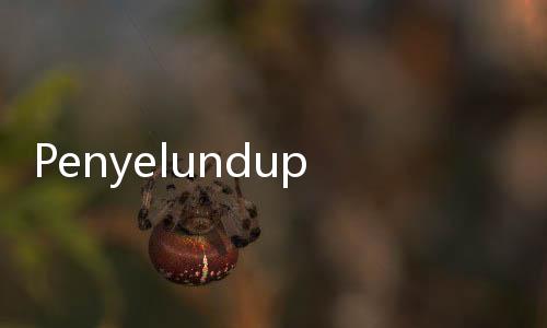 Penyelundupan Narkoba ke Lapas Cipinang Lewat Kemasan Susu dan Minuman Teh Digagalkan