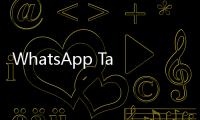 WhatsApp Tak Perlu Nomor HP, Cukup Pakai Username Aja!